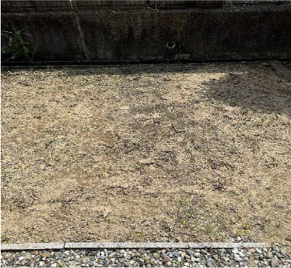 植栽の剪定